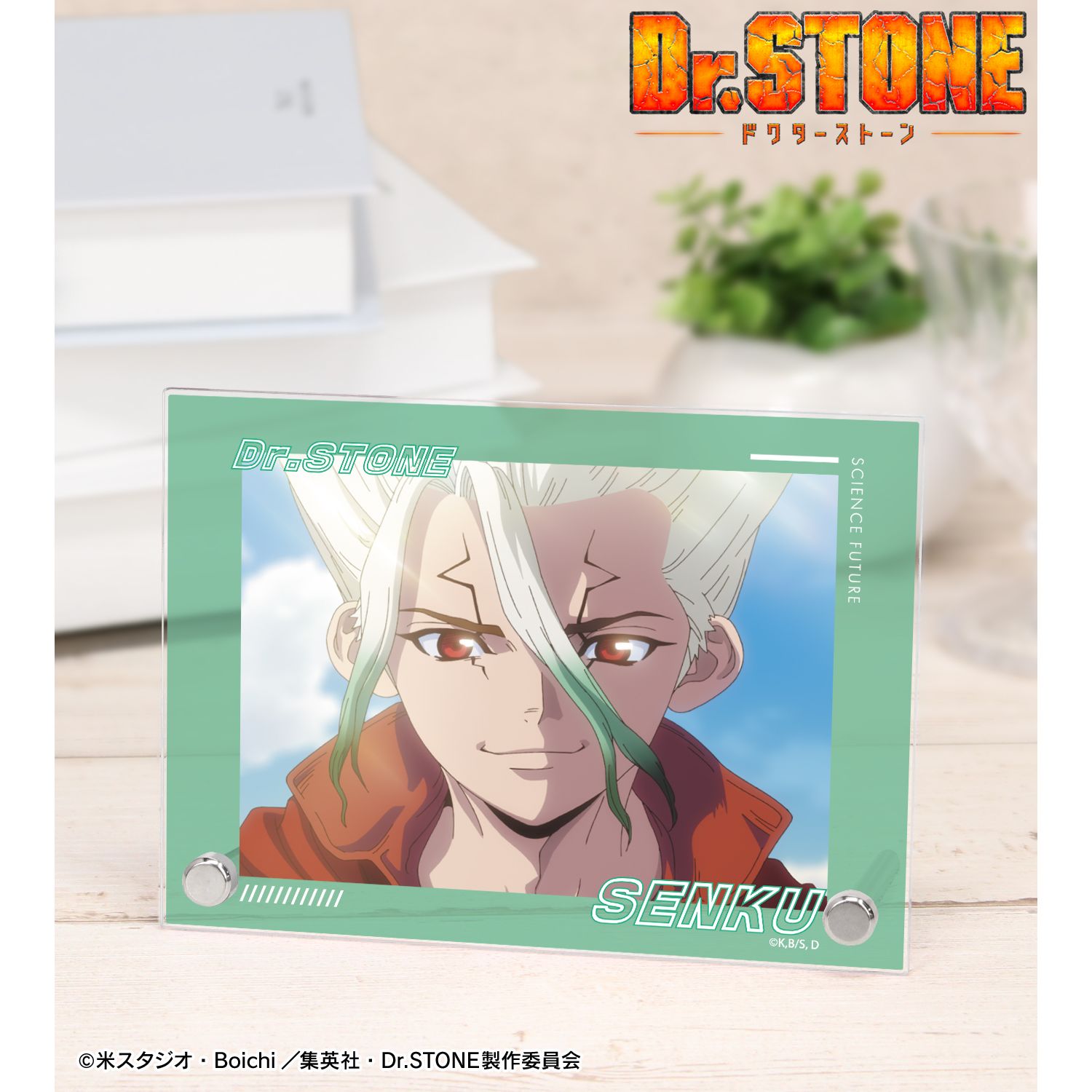Dr.STONE_石神千空 4期23話 A6アクリルパネル