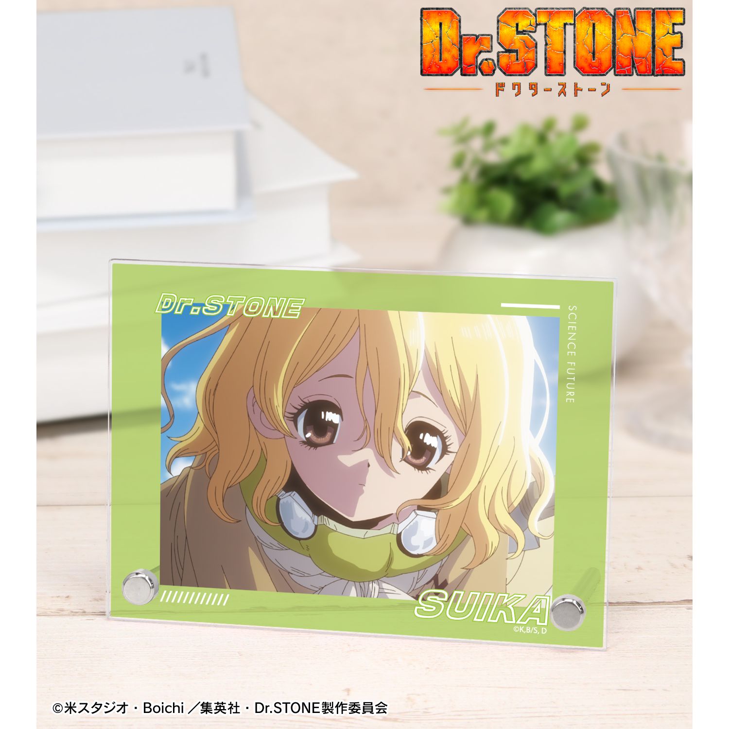 Dr.STONE_スイカ 4期23話 A6アクリルパネル