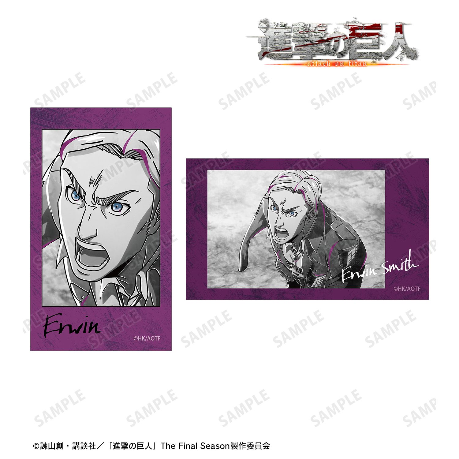 進撃の巨人_エルヴィン Ani-Art BLACK LABEL 第3弾 Ani-Frame2枚セット