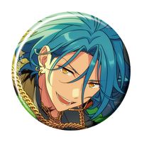 あんさんぶるスターズ!!_コレクション缶バッジ[2026 May]-Idol Side