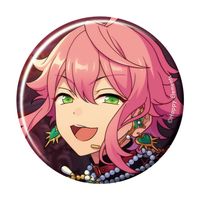 あんさんぶるスターズ!!_コレクション缶バッジ[2026 May]-Idol Side