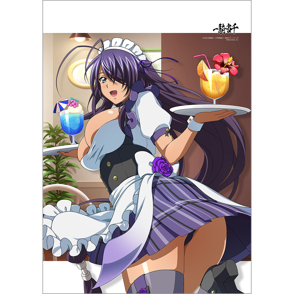 一騎当千_B2タペストリー(関羽雲長/成都最強のメイド長)Wスエード