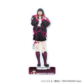 WIND BREAKER_トレーディング缶バッジ マジシャンver. 【BOX／5個入り