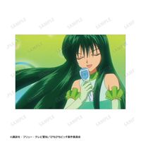 ぴちぴちピッチ まとめ売り 洞院リナ ぴちぴちピッチ_洞院 リナ 場面写ポストカード6枚セット | ぴちぴち