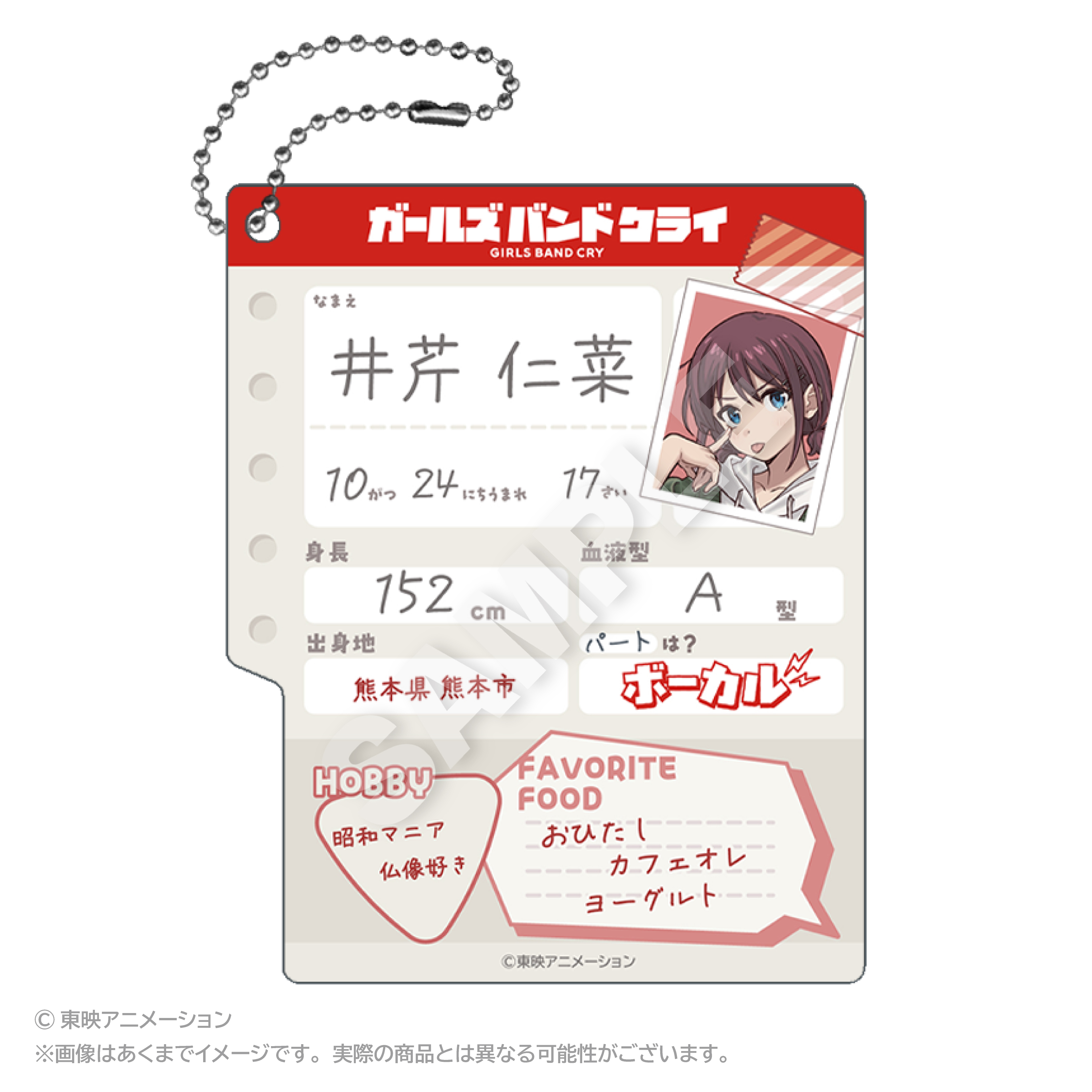 【希少　当時物】ヴァンパイア騎士 全員プレゼント プロフィール帳2010年手帳 1781745157662-749937341