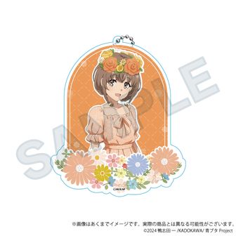 青春ブタ野郎」シリーズ（青ブタ）公式グッズ通販 | colleize（コレイズ）