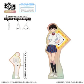 colleize（コレイズ）| 公式・ライセンスグッズ通販