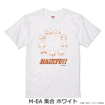 ハイキュー!!_PalVerse 【コンプリートBOX】 | ハイキュー!!公式グッズ