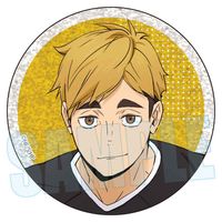 ハイキュー!!_トレーディンググリッター缶バッジ 10周年イベント
