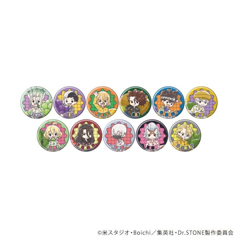 Dr.STONE_缶バッジ44/フルーツver. コンプリートセット(全11種)(グラフ