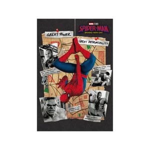 Spider-Man 4 3D Postcard B