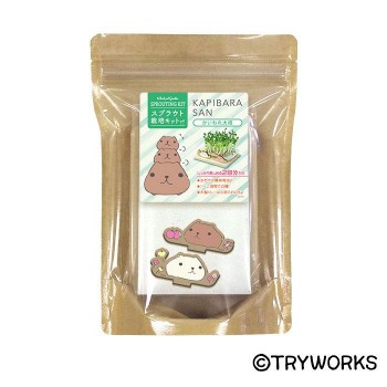 カピバラさん スプラウト栽培キット カピバラさん かいわれ大根 公式グッズ 公式ライセンス商品専門サイト Colleize コレイズ